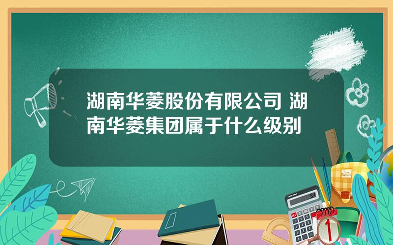 湖南华菱股份有限公司 湖南华菱集团属于什么级别